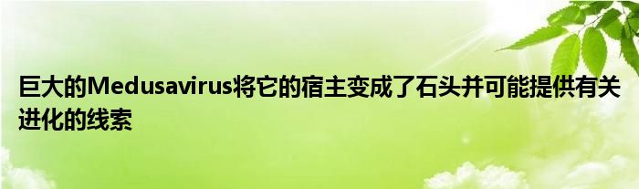 巨大的Medusavirus将它的宿主变成了石头并可能提供有关进化的线索